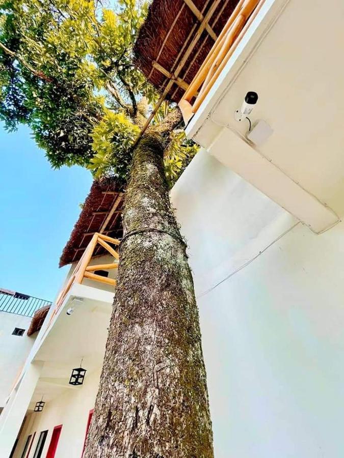 Hotel Sierra Linda Xilitla Zewnętrze zdjęcie